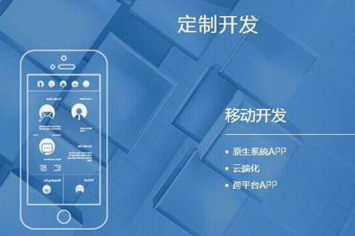 软件定制开发与标准化软件开发 企业视角下的选择差异